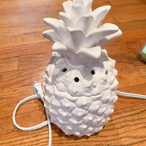 Southern Hospitality pineapple Warmer